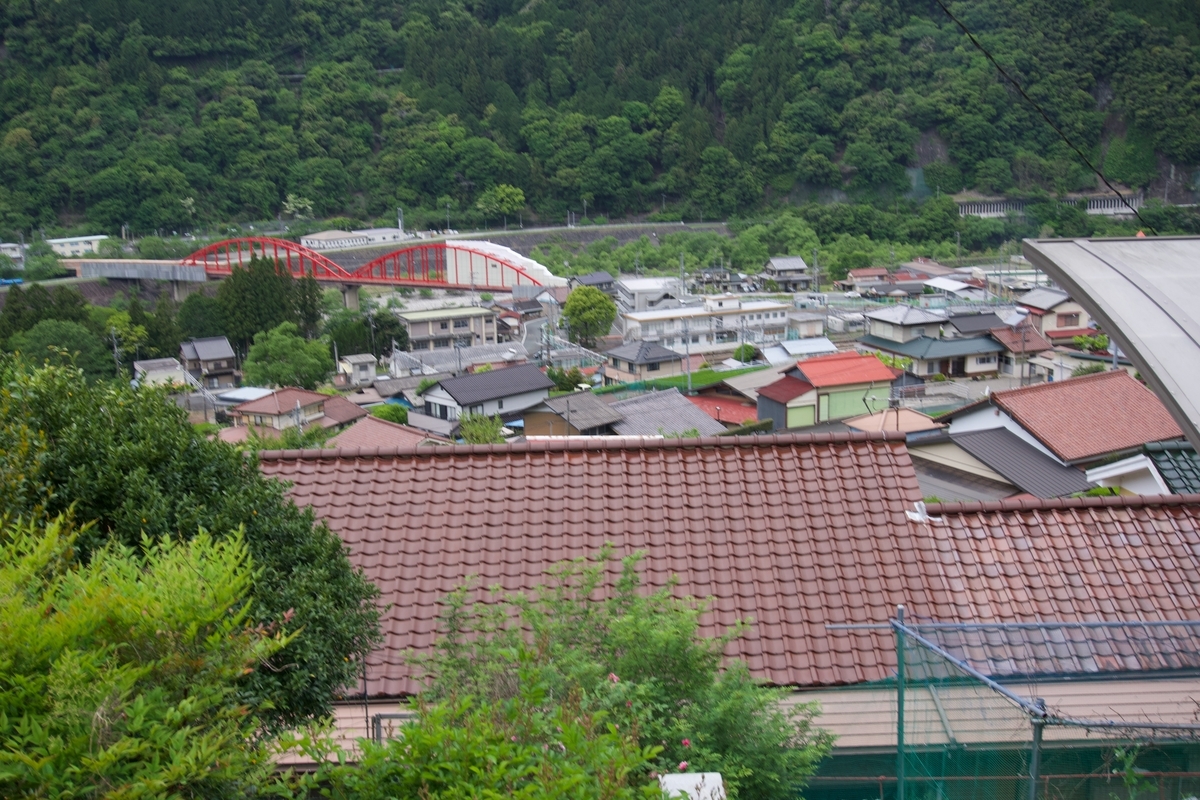 駅側の山からの景色。