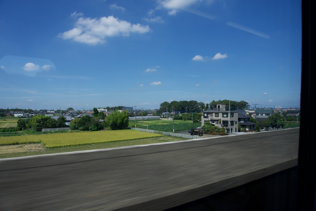 稲穂が揺れててきれい