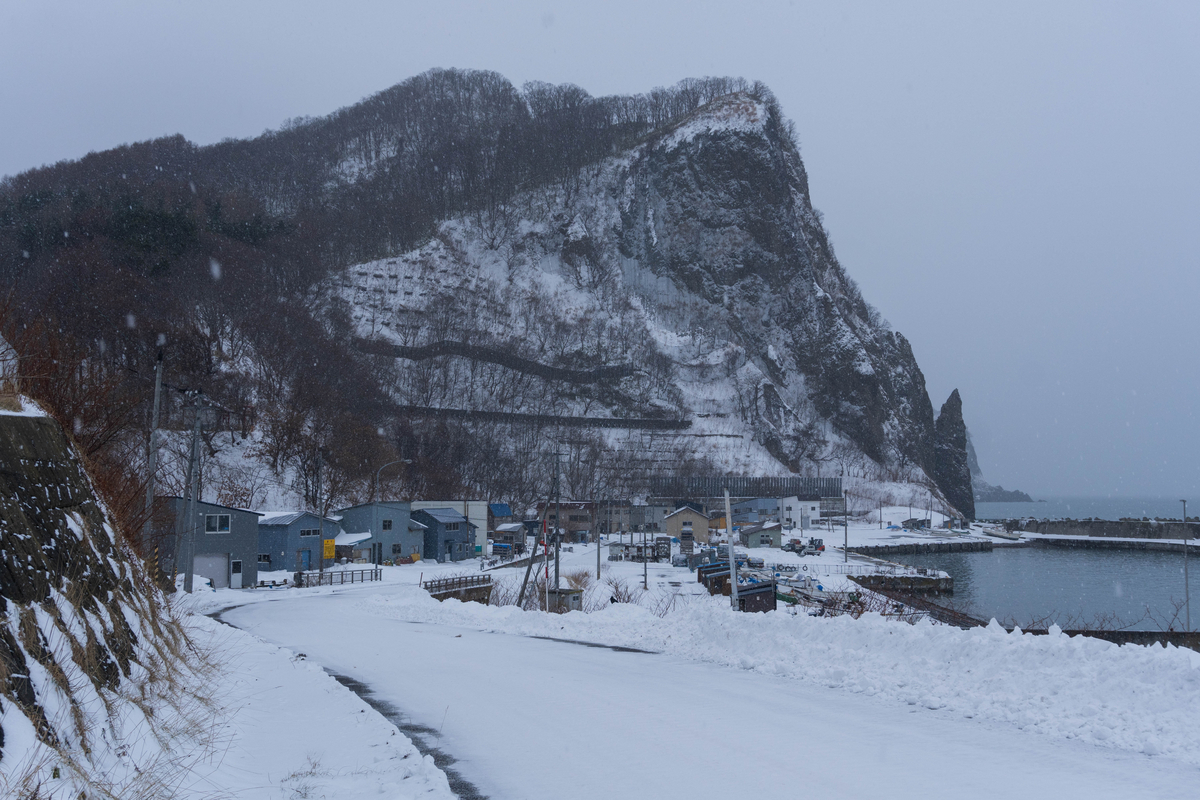 船が泊められている