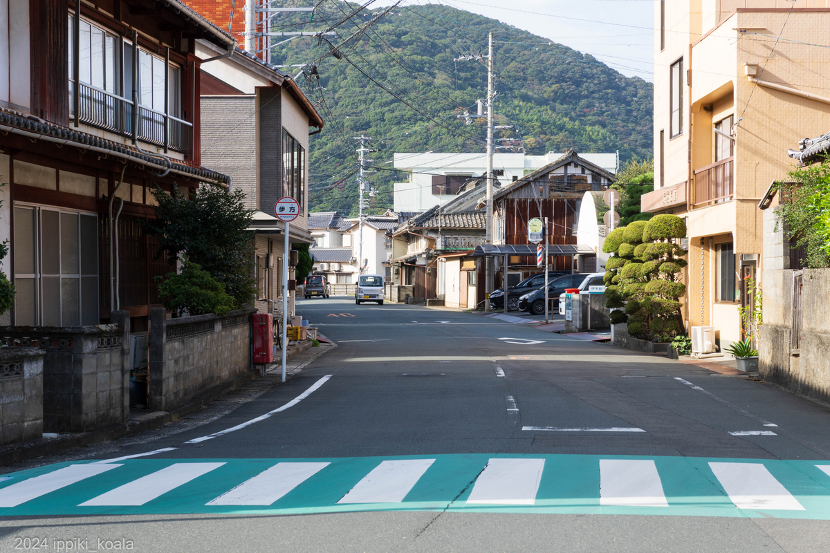 引き続き四国っぽい道を走る