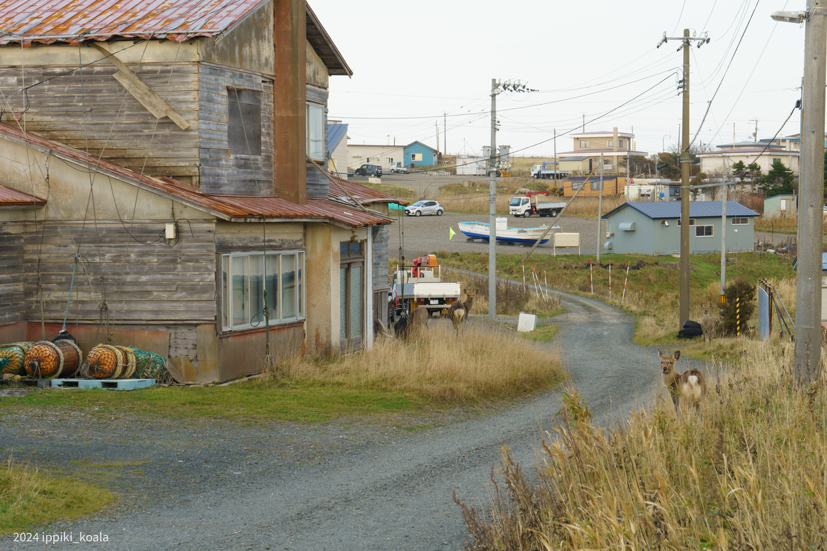 野付半島と根室 落石地区