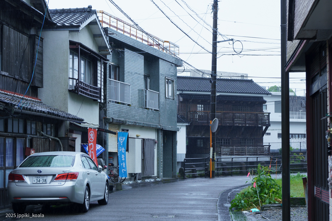 堀川運河へ歩く