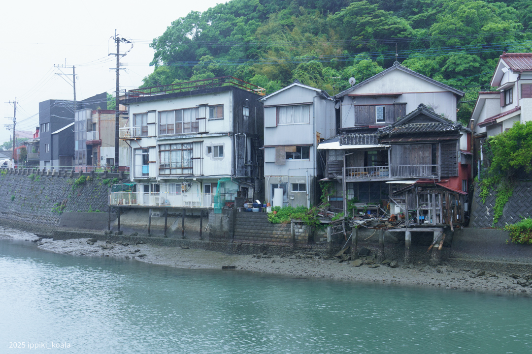 運河っぽく水辺と家の距離が近い