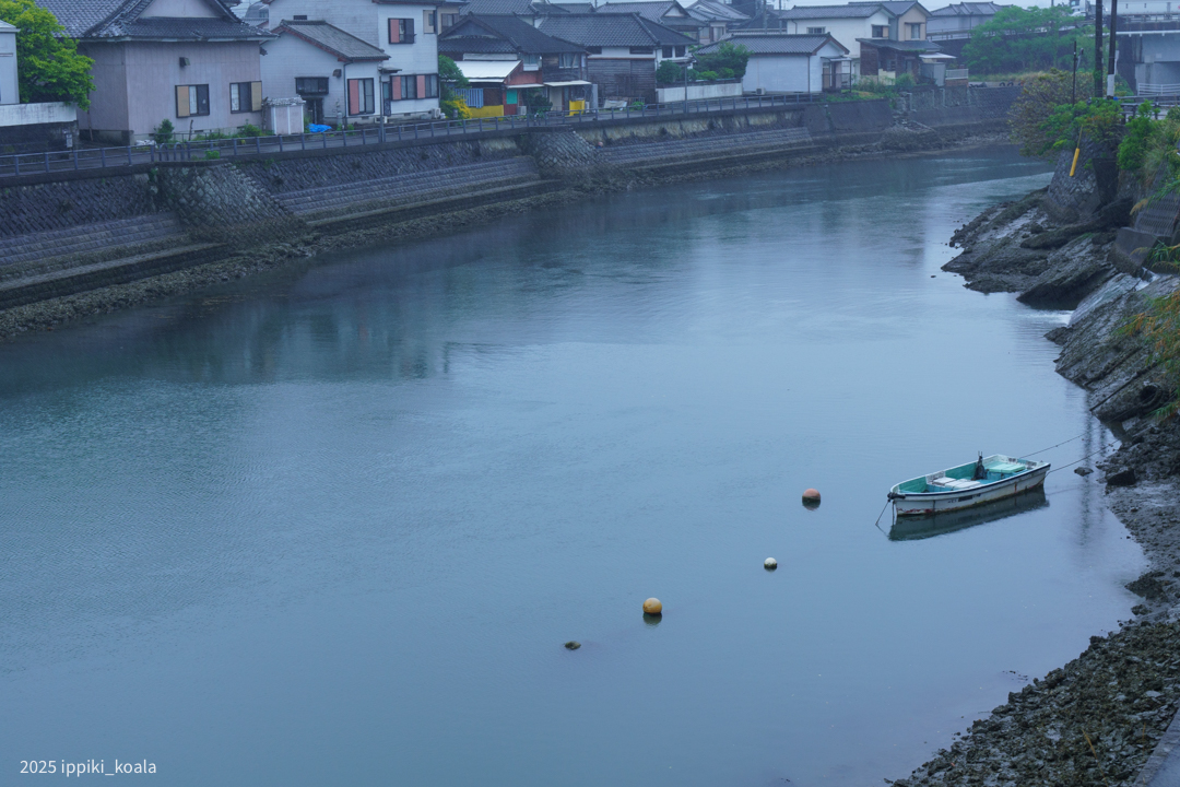 あいにくの雨でしたが運河の透明度は高かった