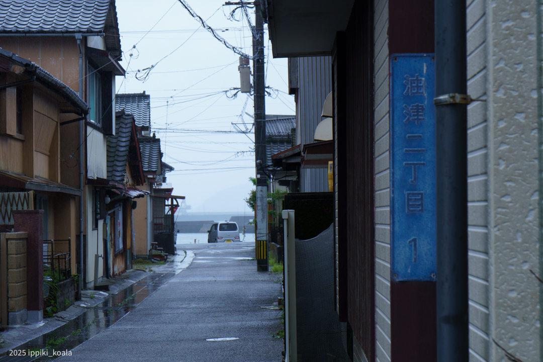 日南牛乳なんですね