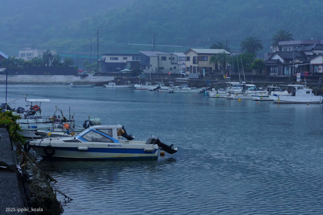 油津港は雨でした