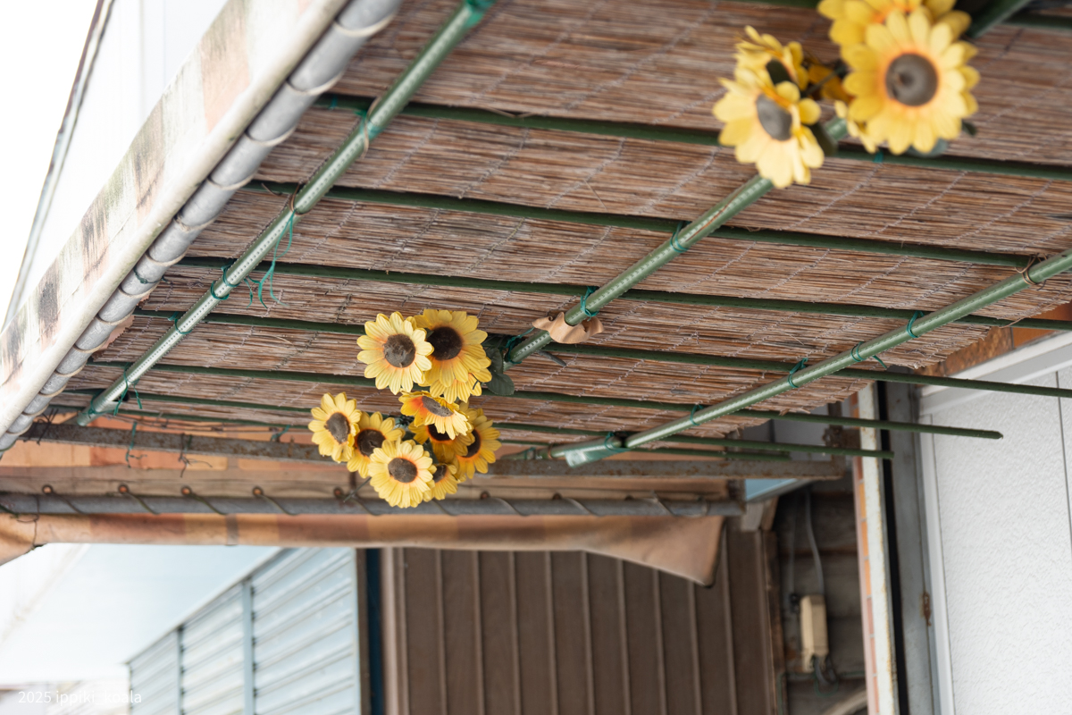 GWに行った気がするのですが