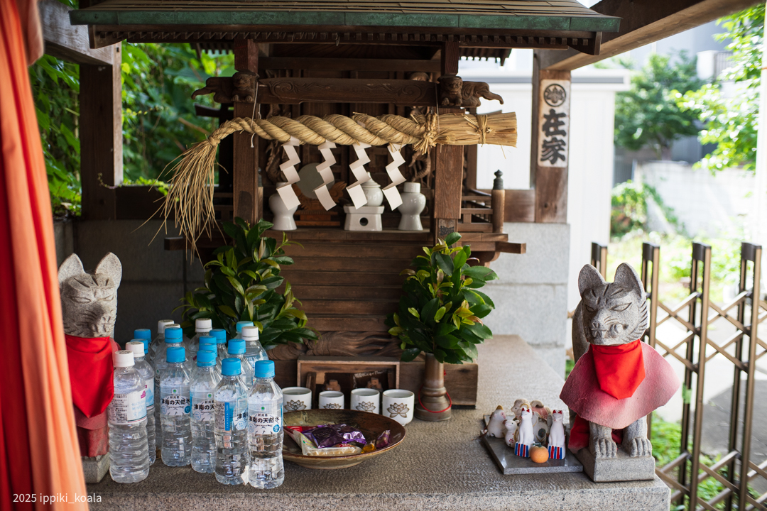 鼻にピントを合わせた