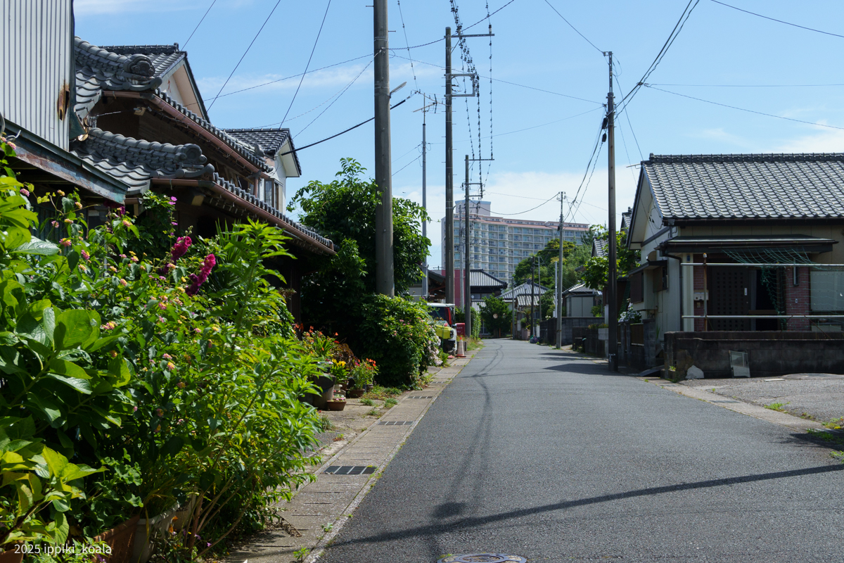 奥にはでかいリゾート施設が