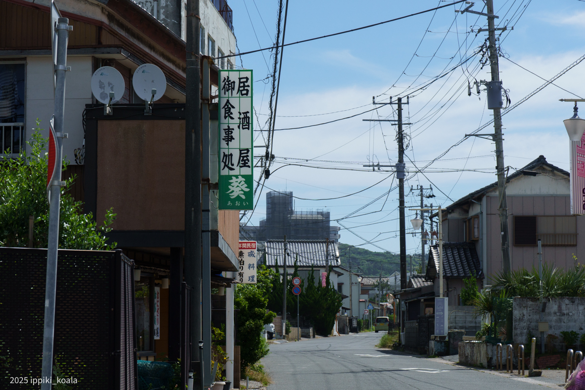 お店もたくさんある