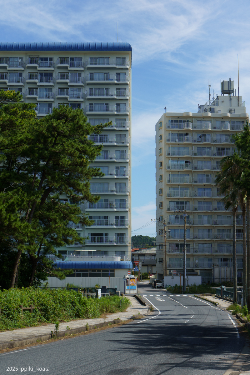 景色の高低差がすごい