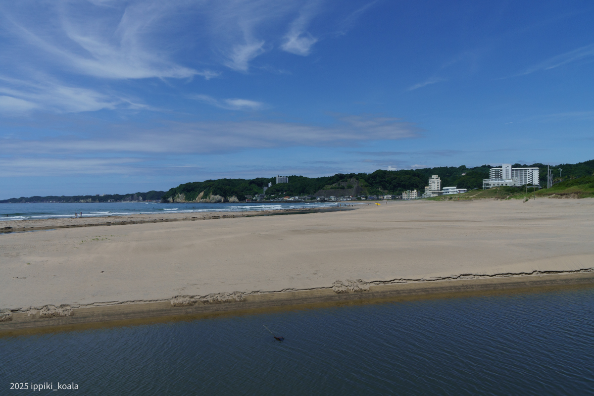 若干和歌山っぽくもある