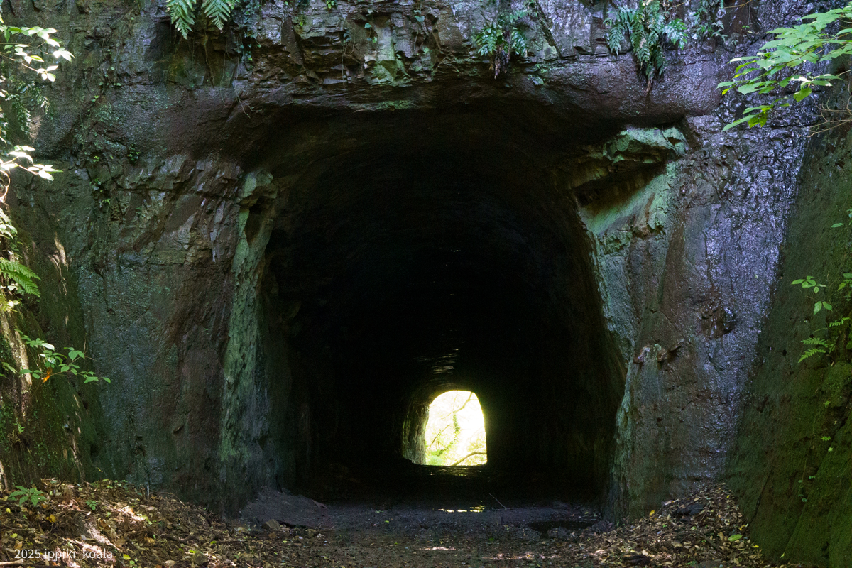 手掘りの隧道に迎えられる