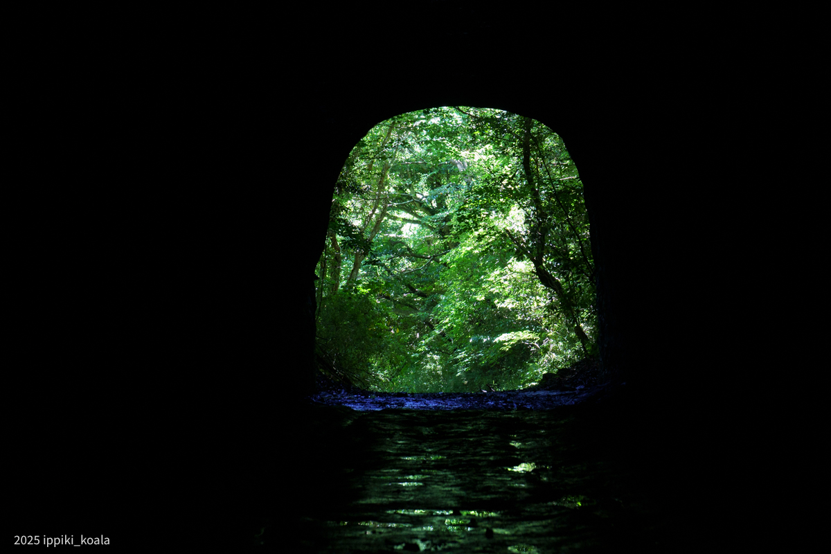 上手く撮れない