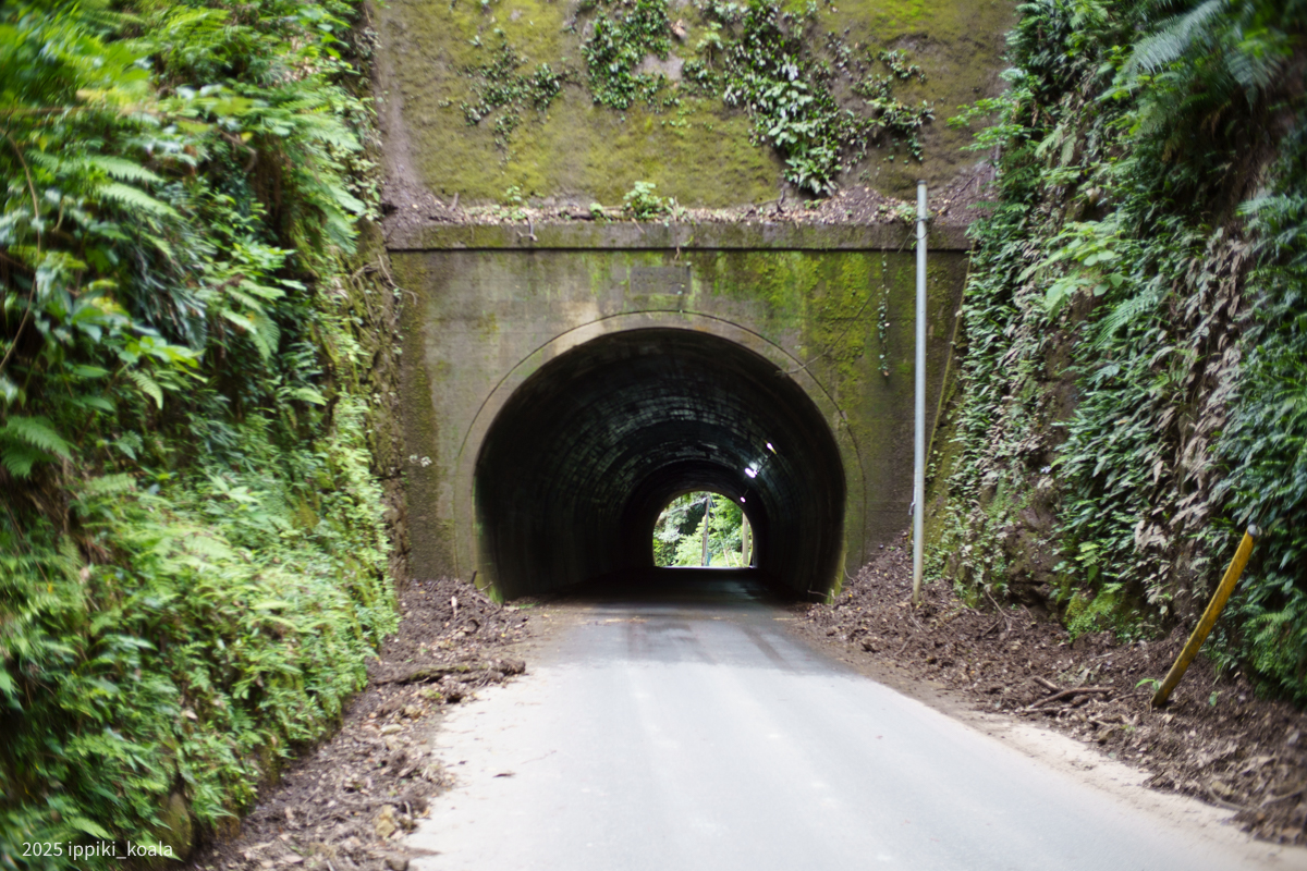 郵便の方が過ぎて行きました