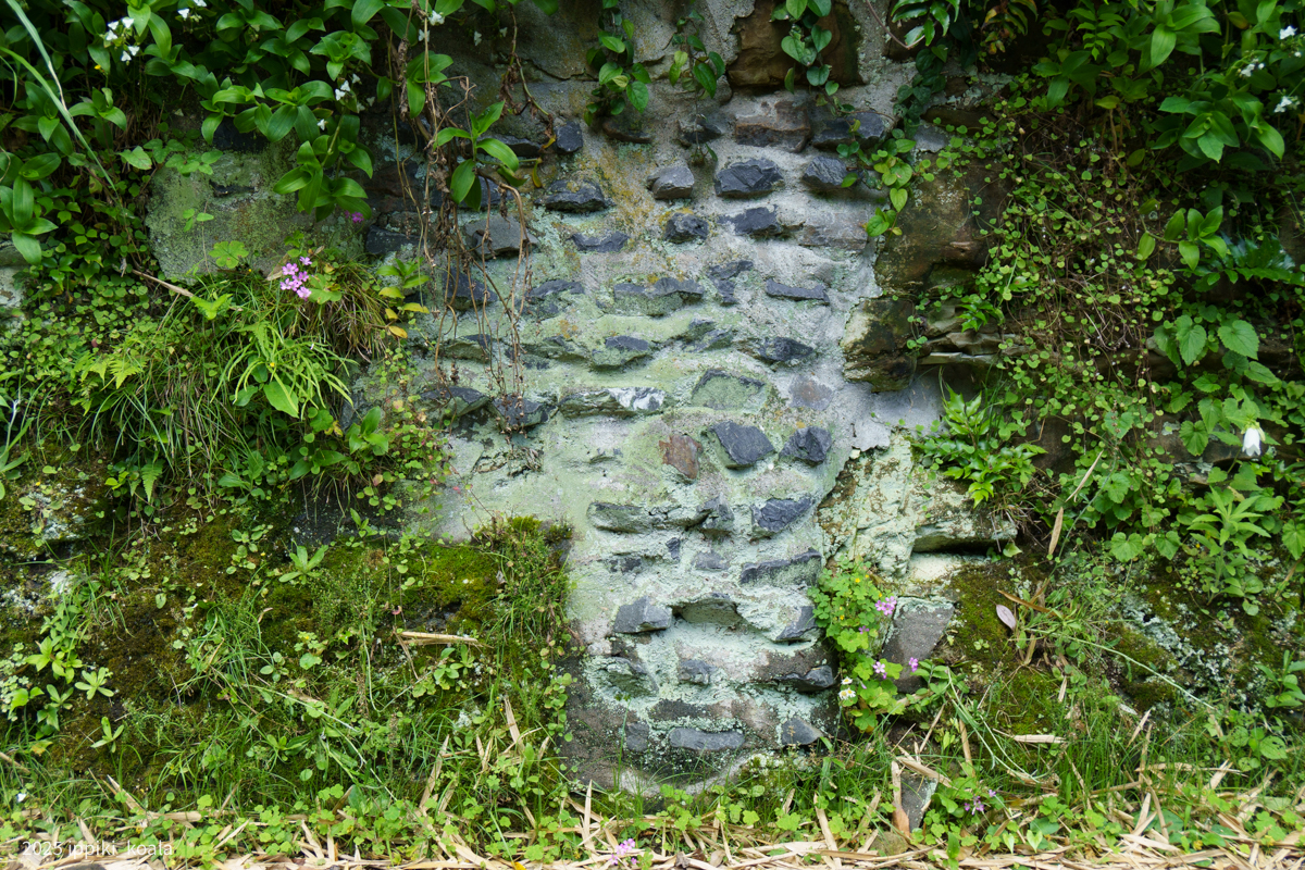 石垣が人のいる場所に近づいていることを感じさせる