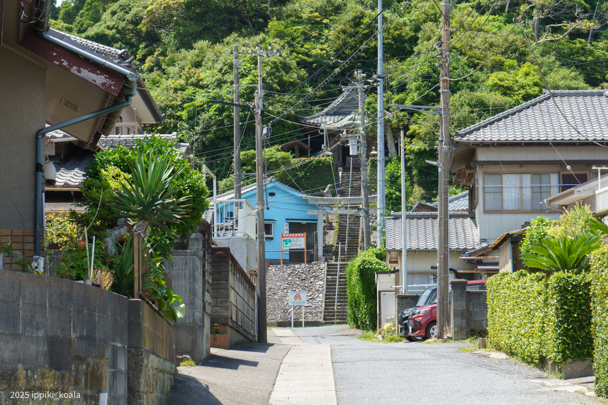 奥に見えるのが飯縄神社