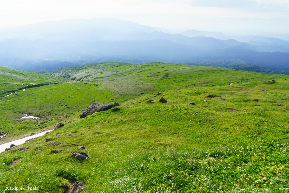 すがすがしい朝ですな