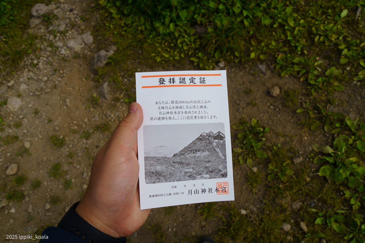 2回お祓いしたので2枚持っている