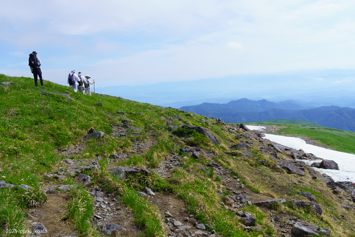 これはいつも先を行く友人