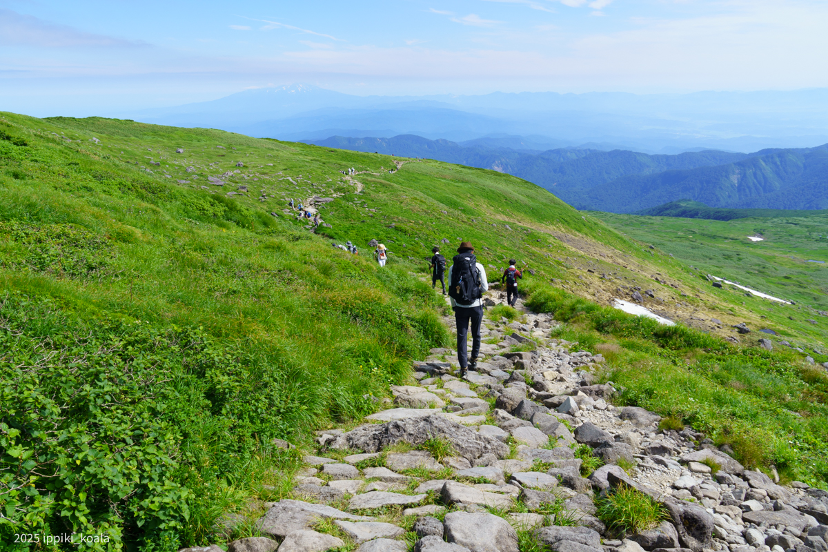 こういう道苦手なのであった