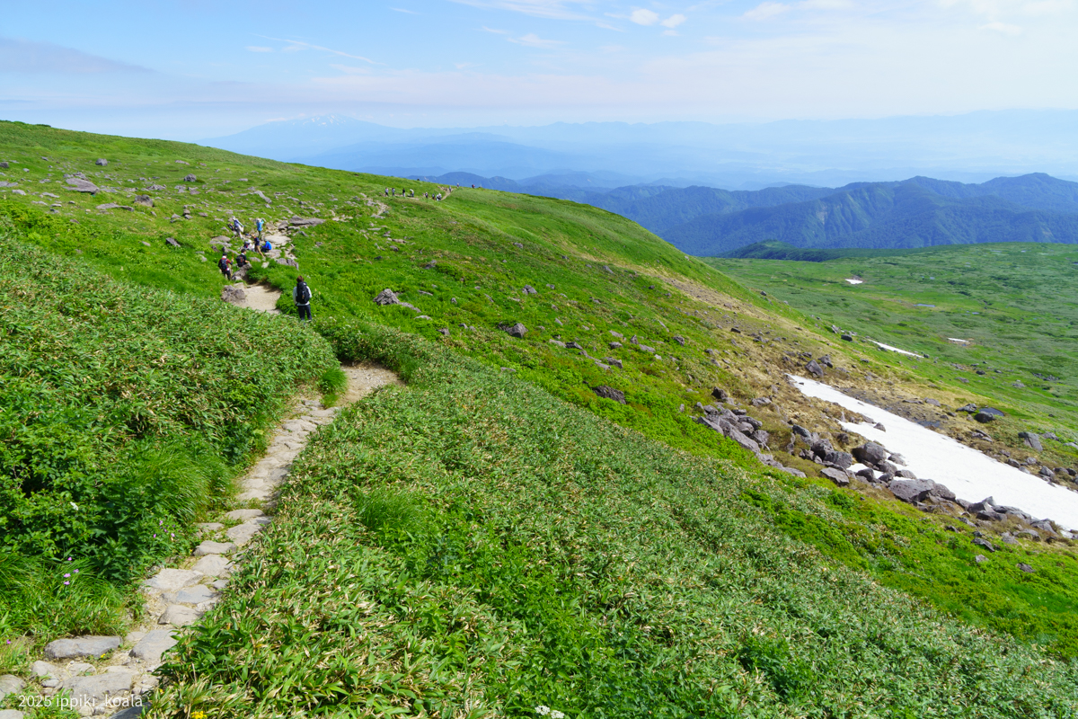 かっこいい友人