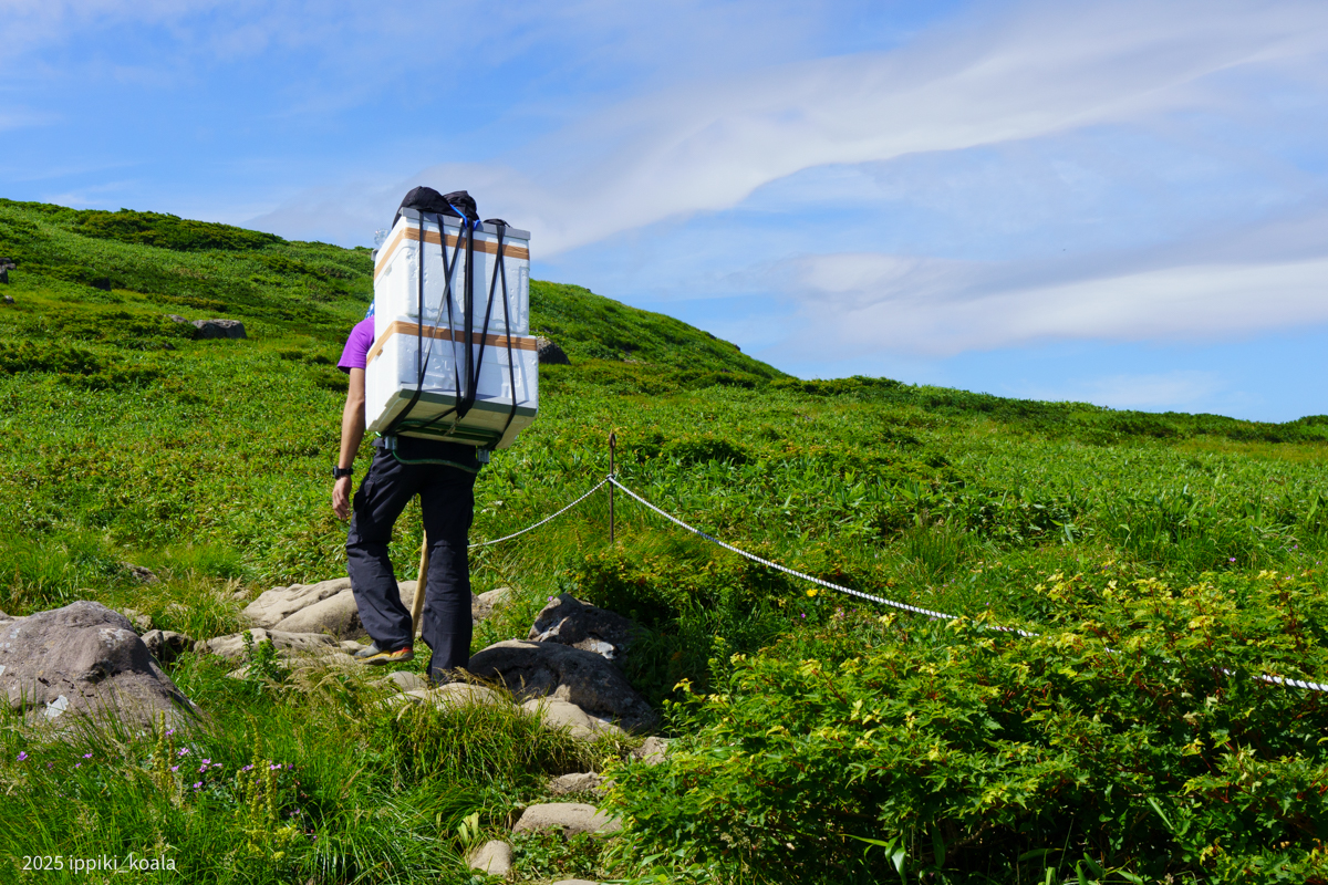 歩荷さんがいたり