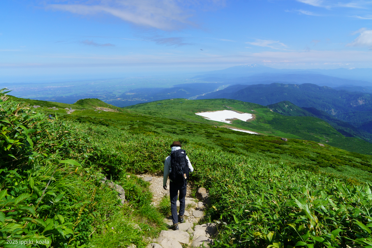ひたすら降ります