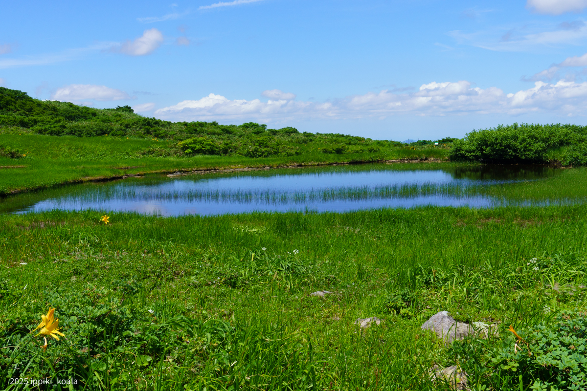 弥陀ヶ原の池に到着
