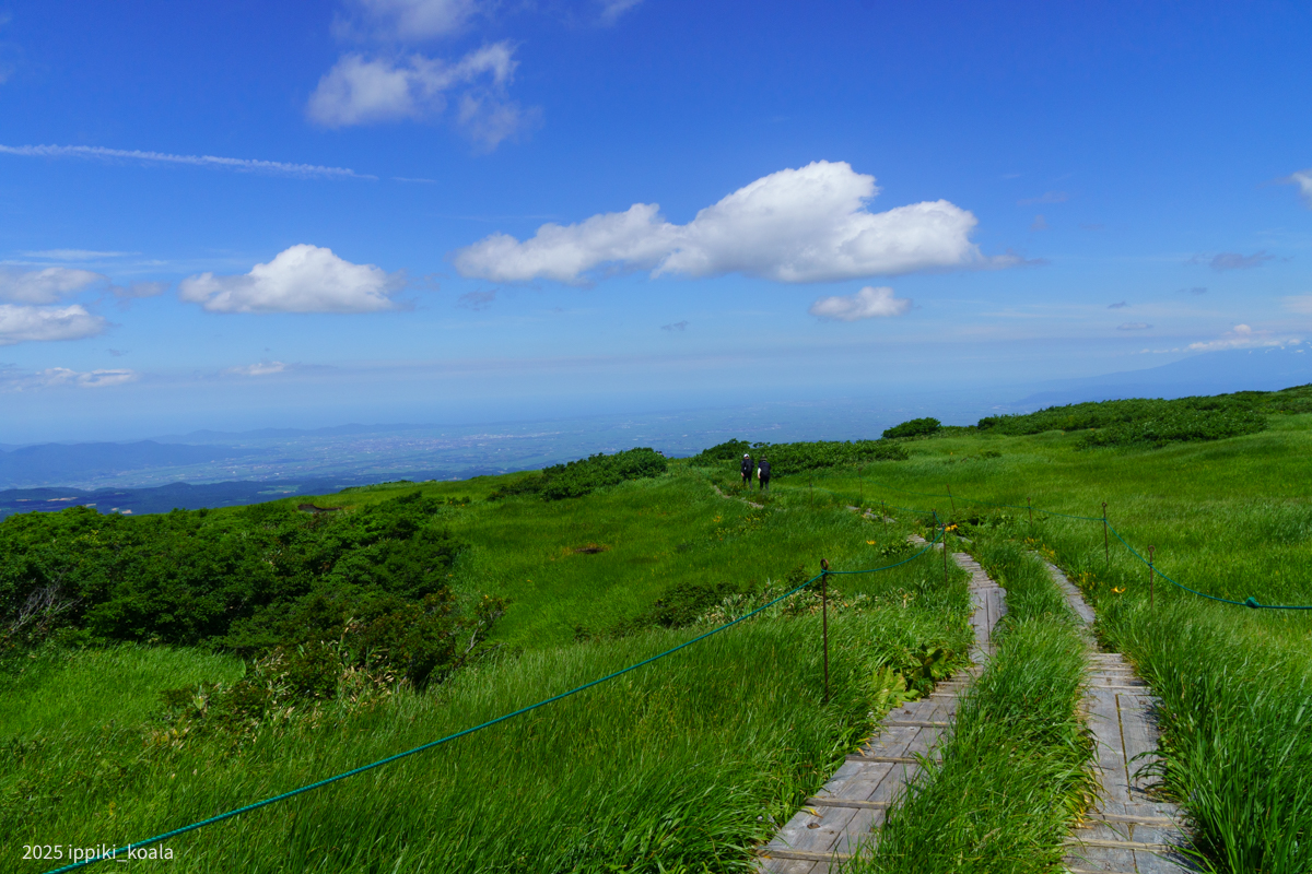 庄内平野が見渡せる