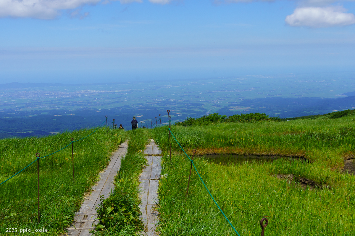 ここも絶景だった