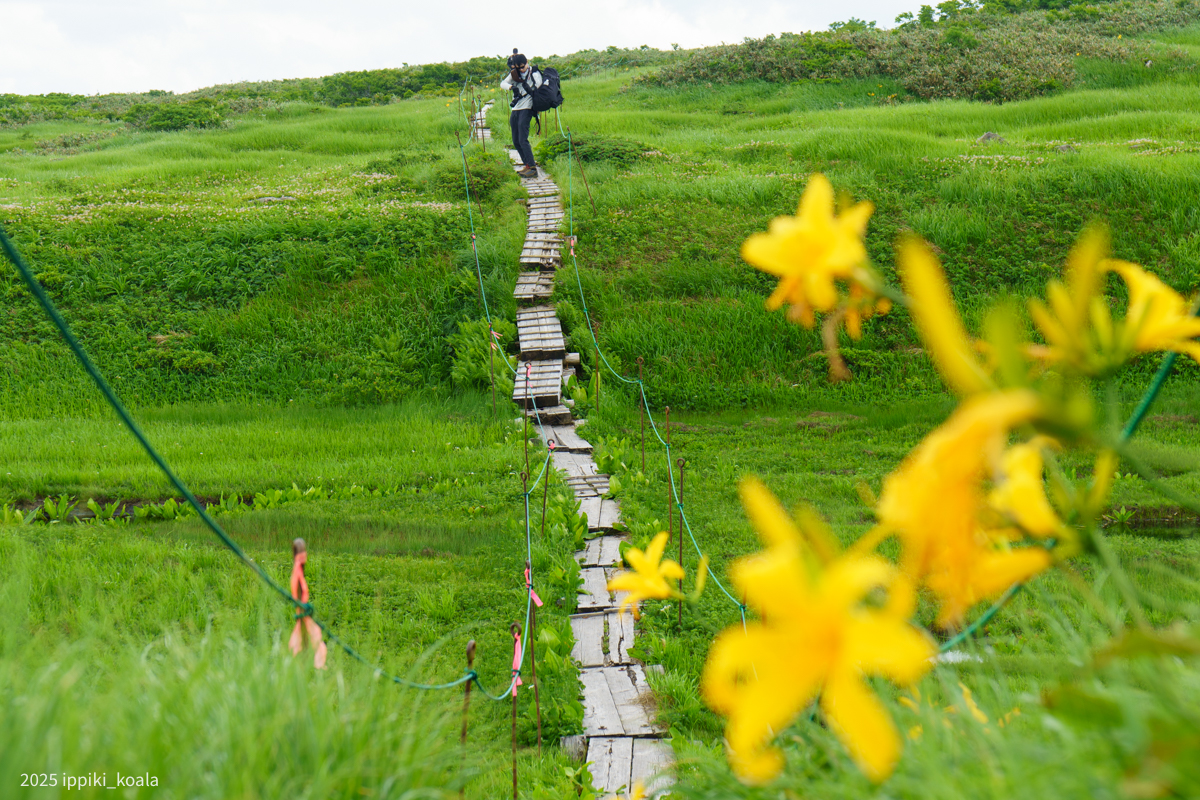 あちらからも撮られていた