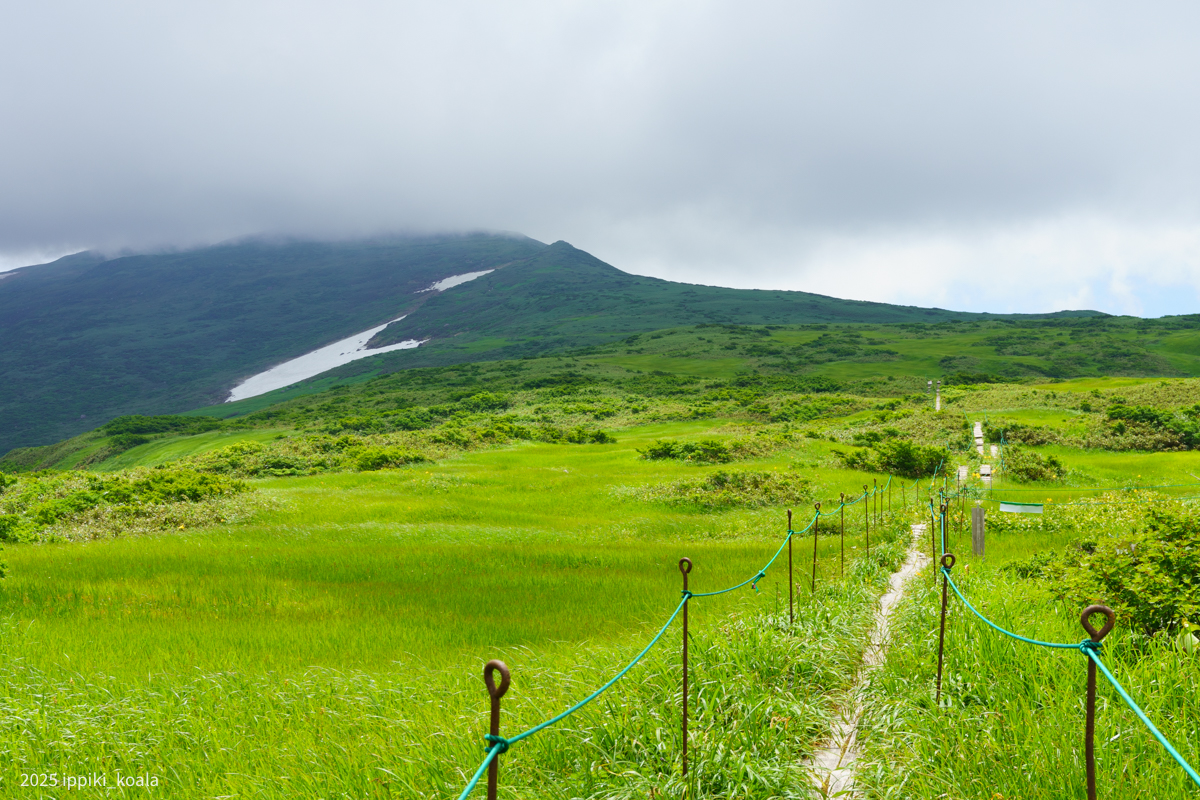 月山方面がガスってきた