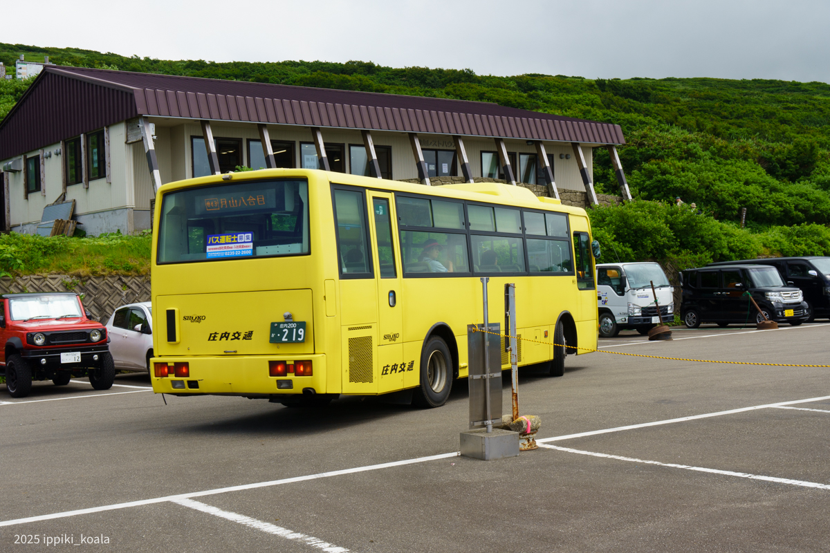 本当に路線バスがきた