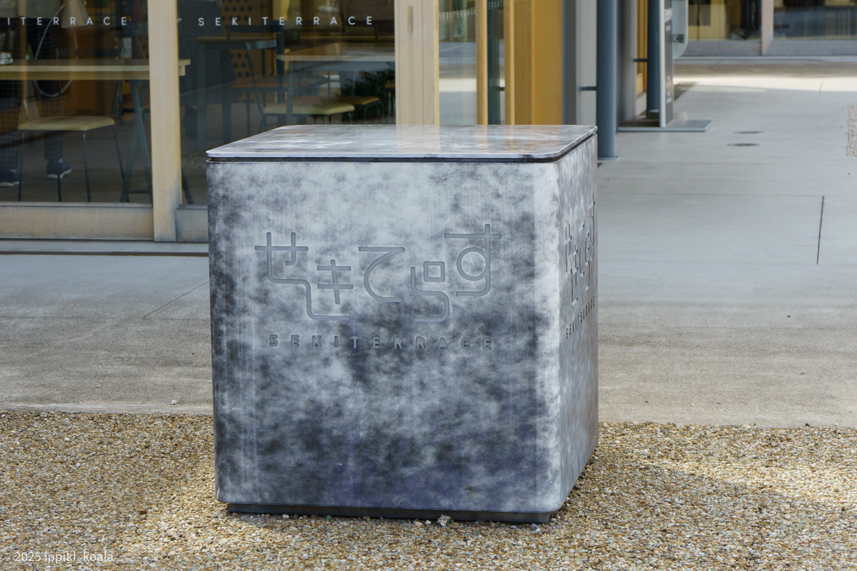 せきてらすはきれいだった