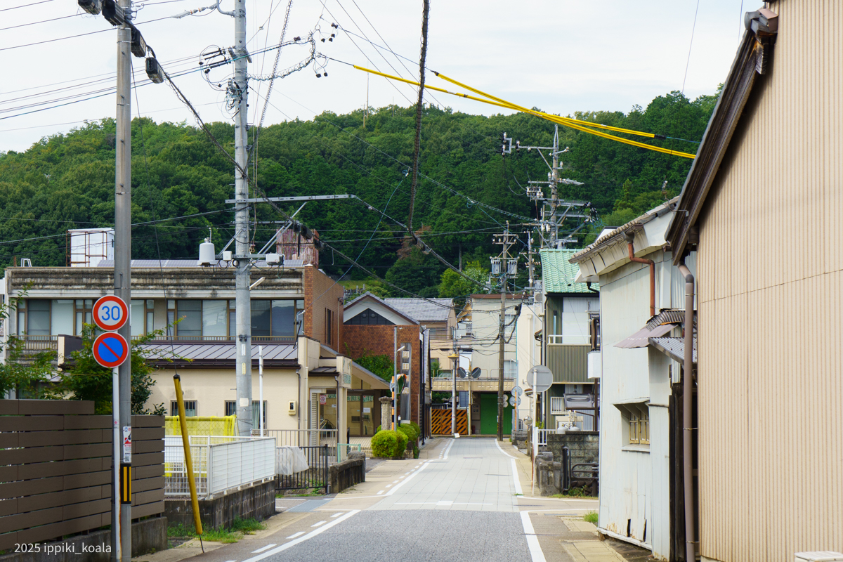 向こうに本町通商店街と後で行く安桜山が見えてきた