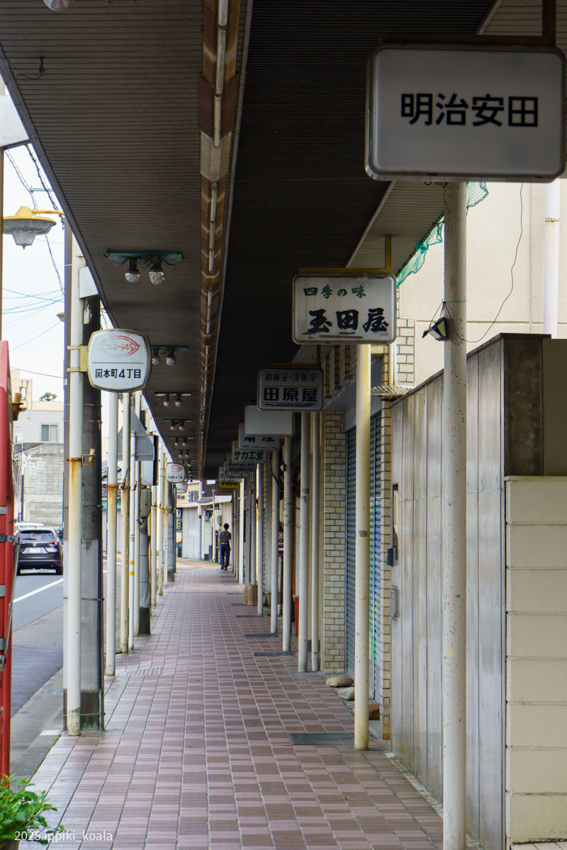 昔はたくさん店が開いていたんだろうなあ