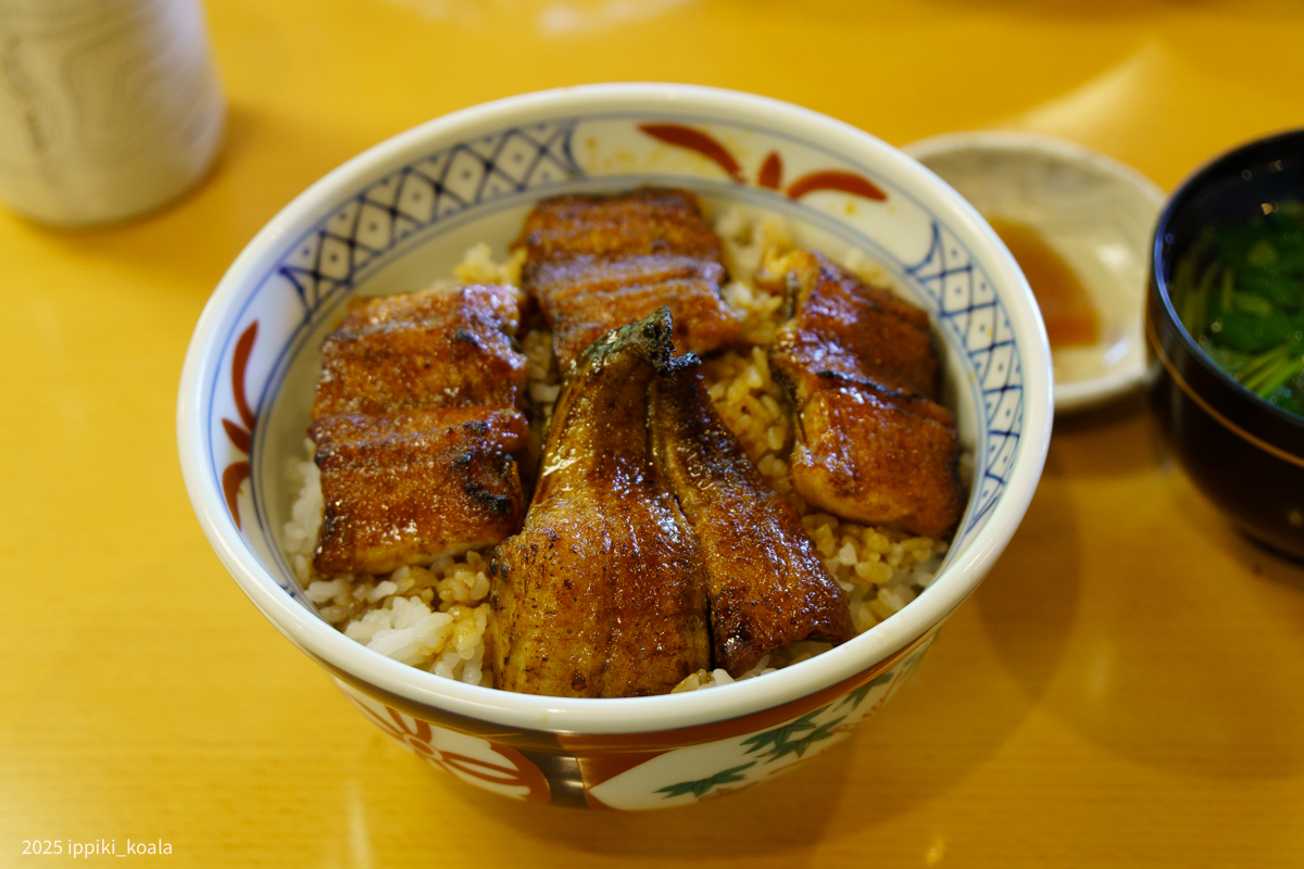 おいしいうな丼でした