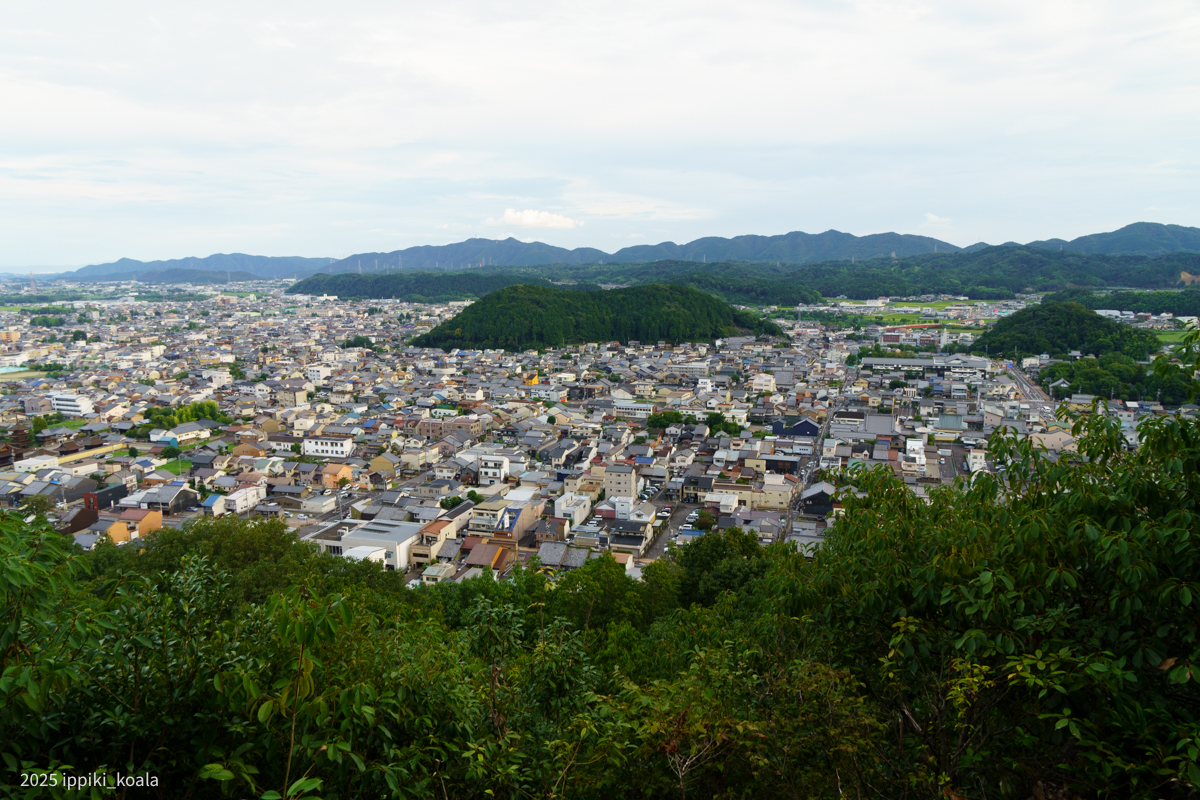 関市を見渡せる