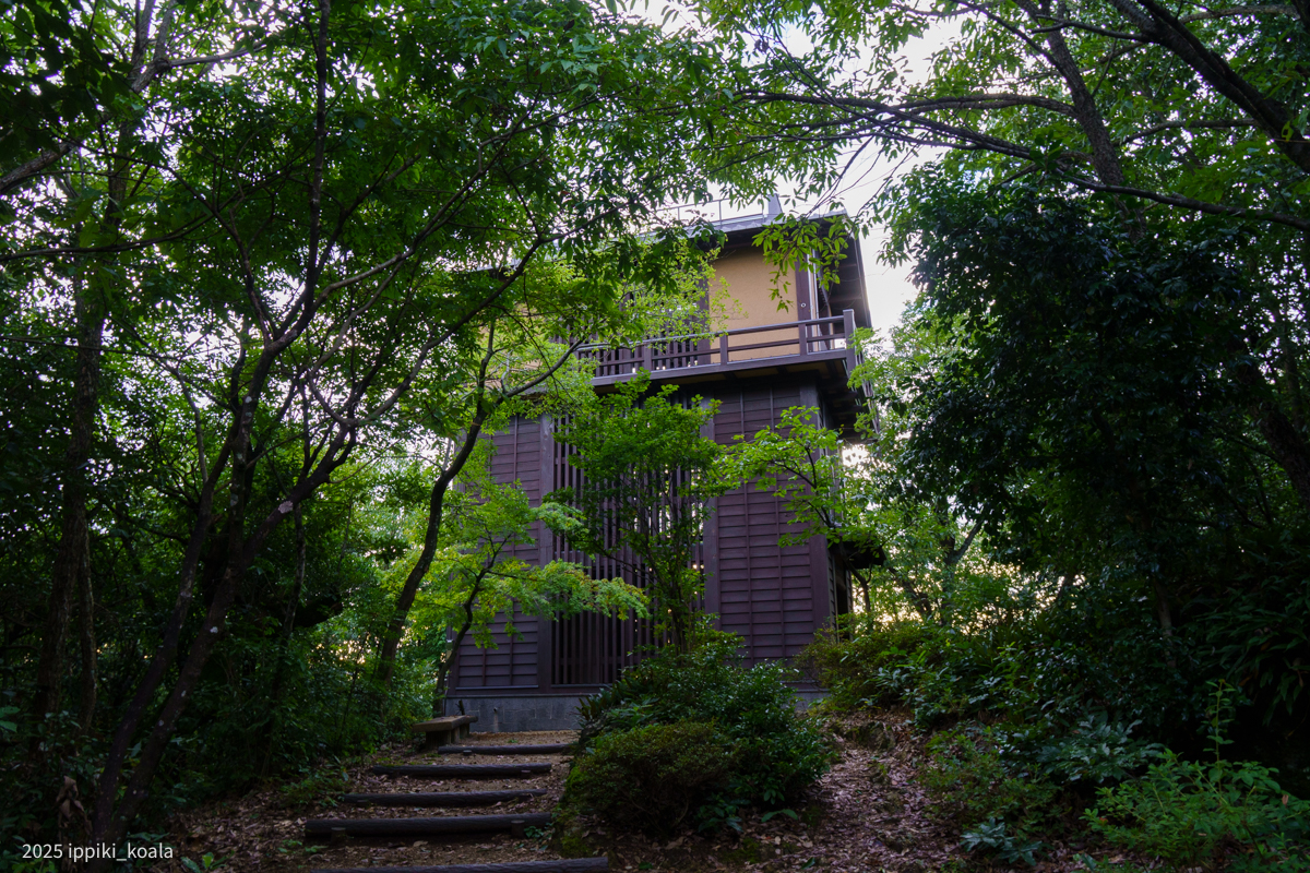 頂上付近の展望台