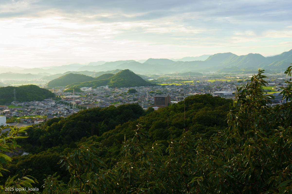 夕日がきれいでした