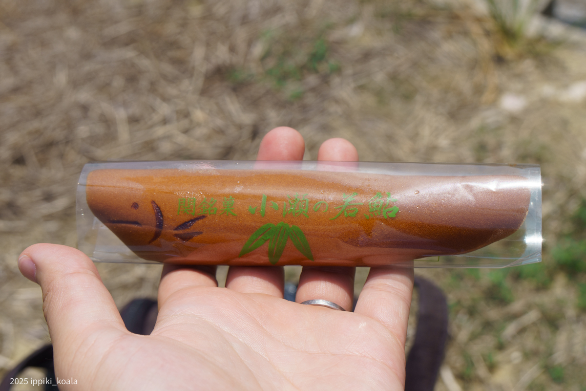 すごくおいしかったけど6本買ったのはさすがに間違いだった