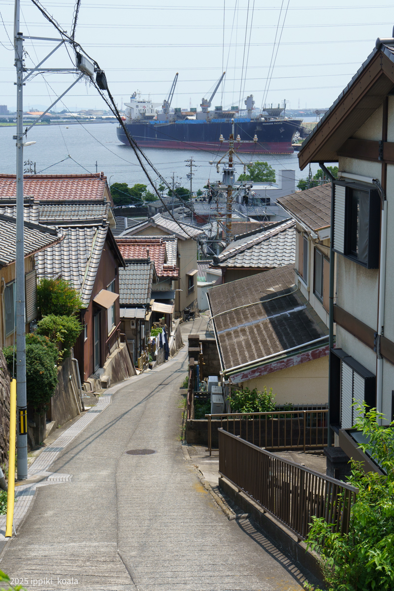 良い景色だったのでいつも通り写真を撮りまくってしまった