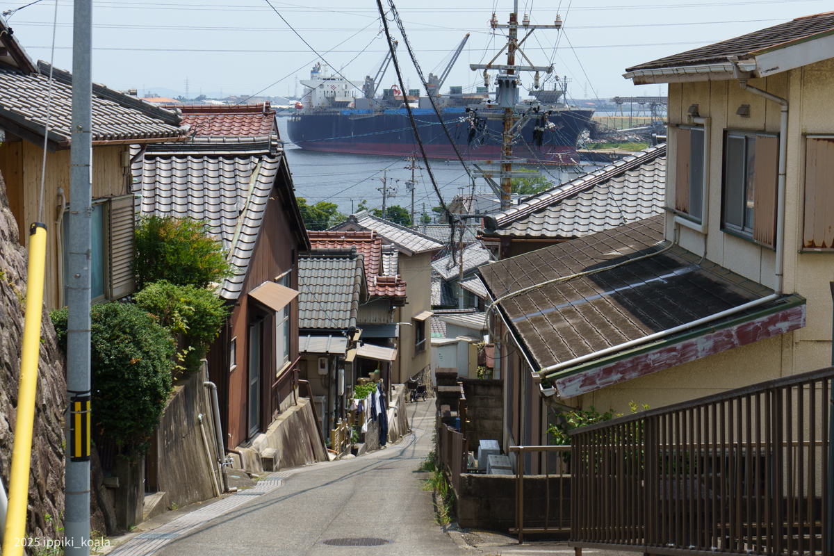 坂を下っていきます