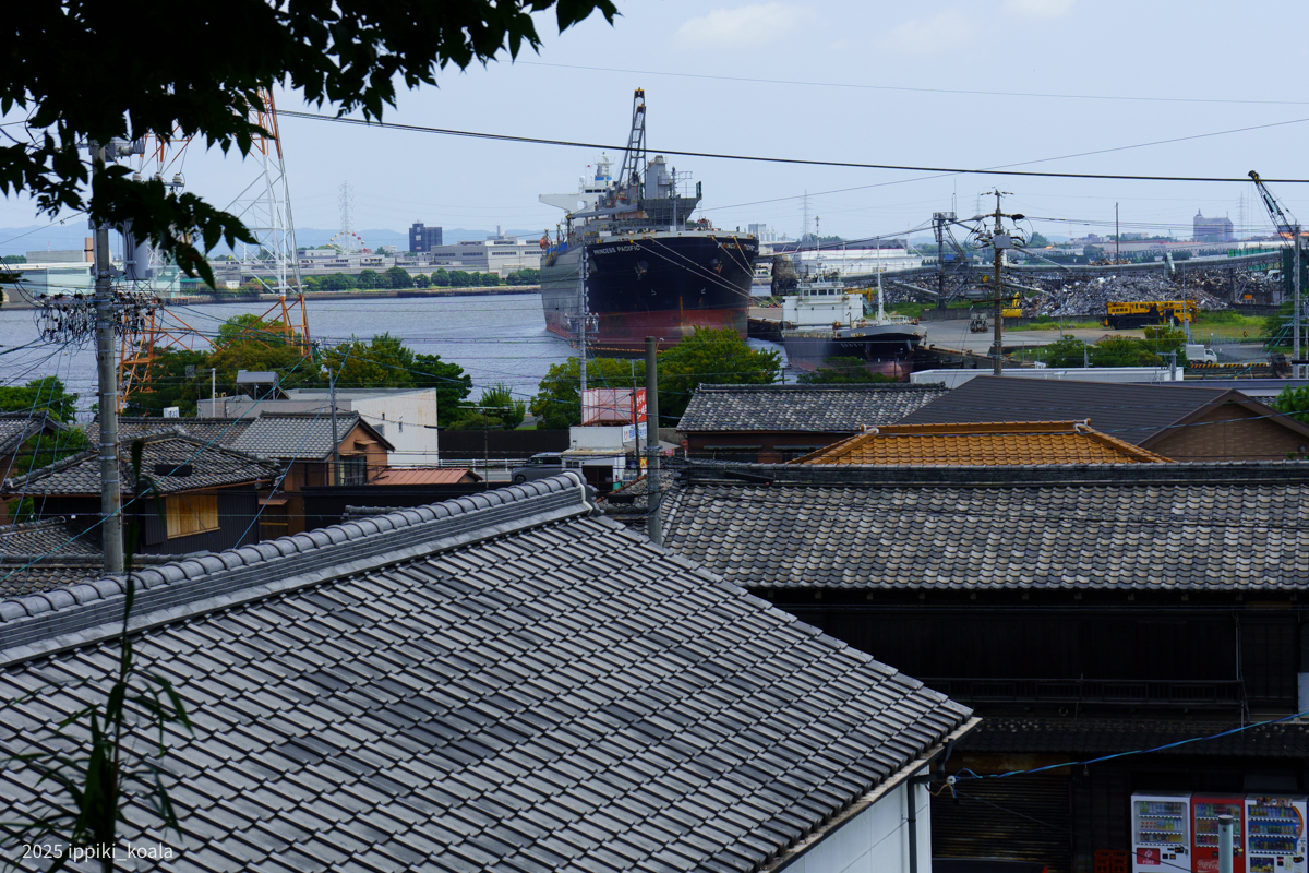 境内からもチップ船がよく見える