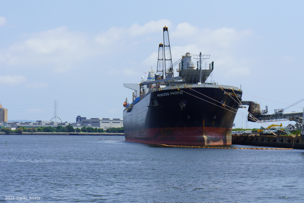 チップ船でかかった