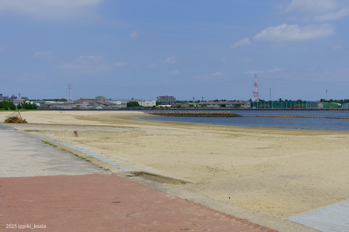 この浜辺で潮干祭が行われるみたいですね
