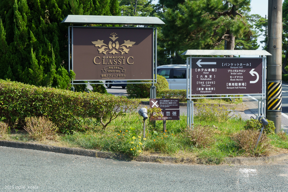 坂を登っていきます