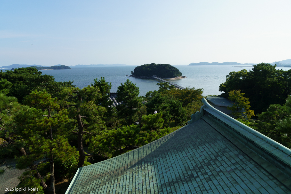 竹島がよいアクセントに