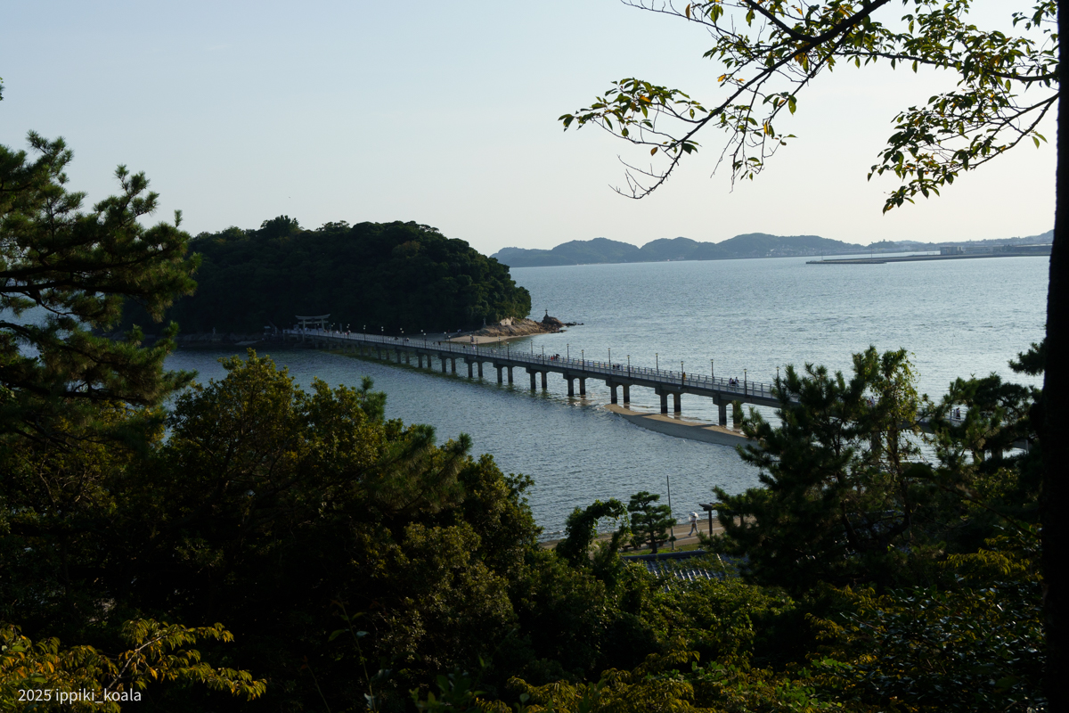 橋にはたくさん人がいました